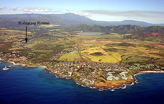 hawaiian hibiscus vacation rental home