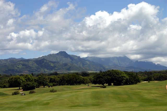 Kiahuna Golf - Hawaiian hibiscus vacation rental home