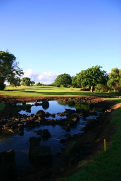 Kiahuna golf, Hawaiian hibiscus vacation rental home