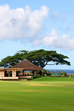 Kiahuna golf, hawaiian hibiscus  poipu vacation rental home