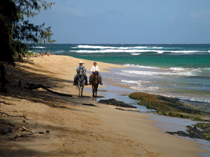 Horseback riding along Mahaulepu Beach and Haula Beach