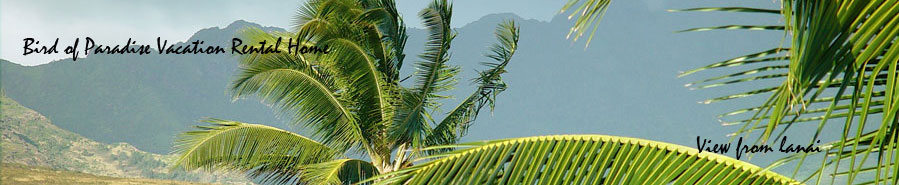 Kauai Vacation Rental in Poipu Beach Kauai Hawaii: View from Bird of Paradise Home