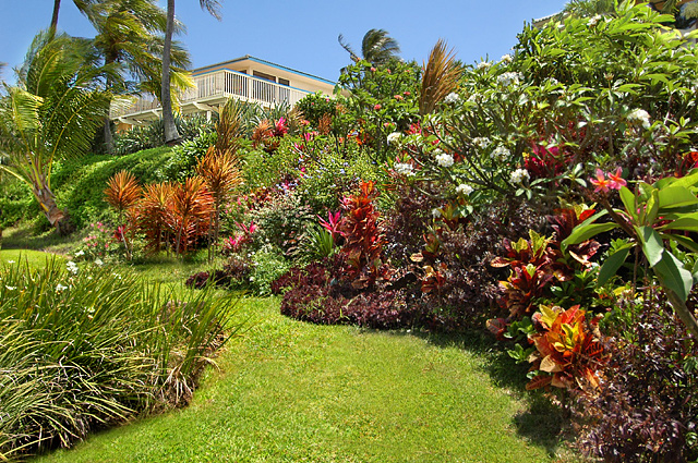 Beautiful front yard before entering this kauai vacation rental poipu house