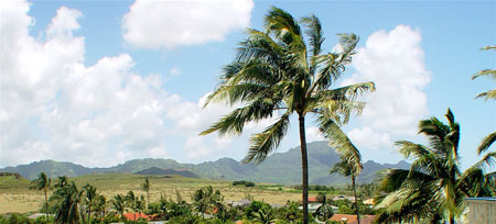 View from Bungalow bedroom, Kauia vacation rental with 4 bedrrom, 3.5 bath, 4000 sq ft living area, paradise in our popiu vacation rental