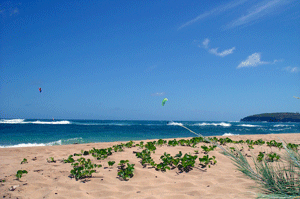 Mahaulepu Beach Poipu Kauai Hawaii