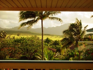 View from bed at Poipu home