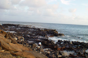 Great place for children who like to explore with small sea creature like hermit crab