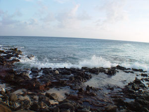 Turtle cove, Poipu, Kauai, Hawaii