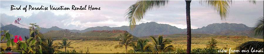 Bird of Paradise Vacation Rental in Poipu Kauai Hawaii