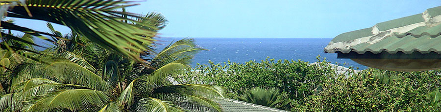 Ocean view from our vacation rental home on the east side.